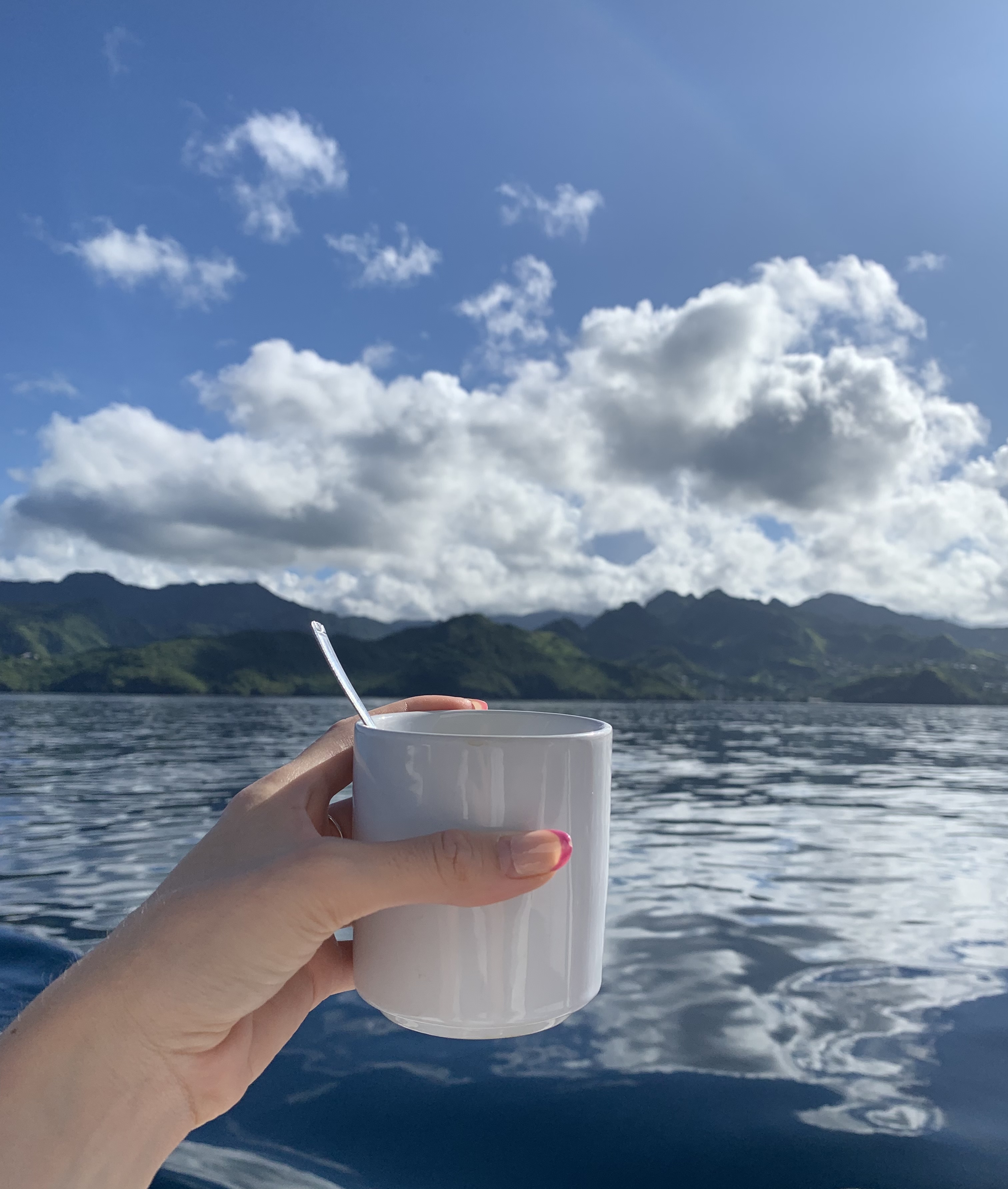 Tasse devant la mer