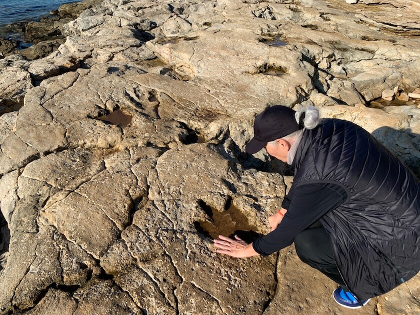 Dinosaurier Fußabdrücke auf den Brijuni-Inseln, Istrien, Kroatien