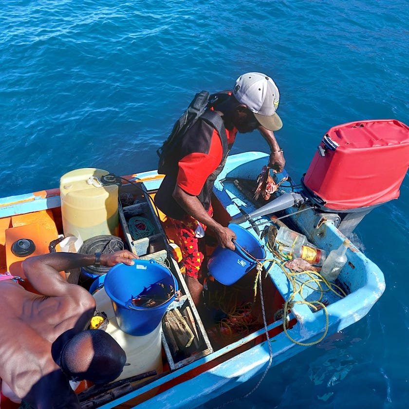 pêcheurs dans les Antilles