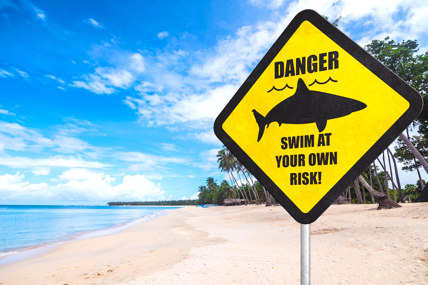 plage interdite requins