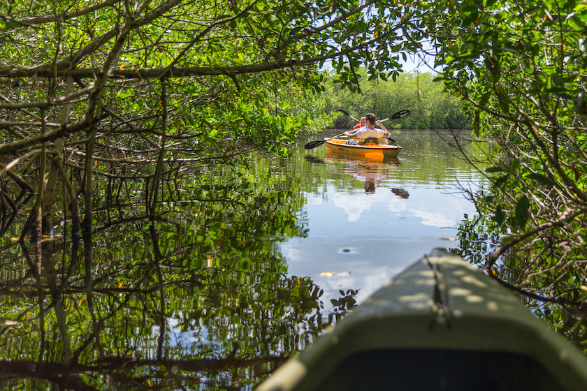 Kayak sur la ivière Aoppomau à Raiatea