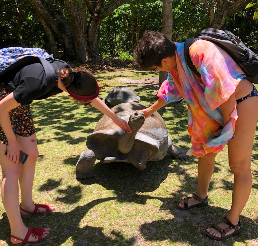 Rencontre avec une tortue géante à Grande Soeur